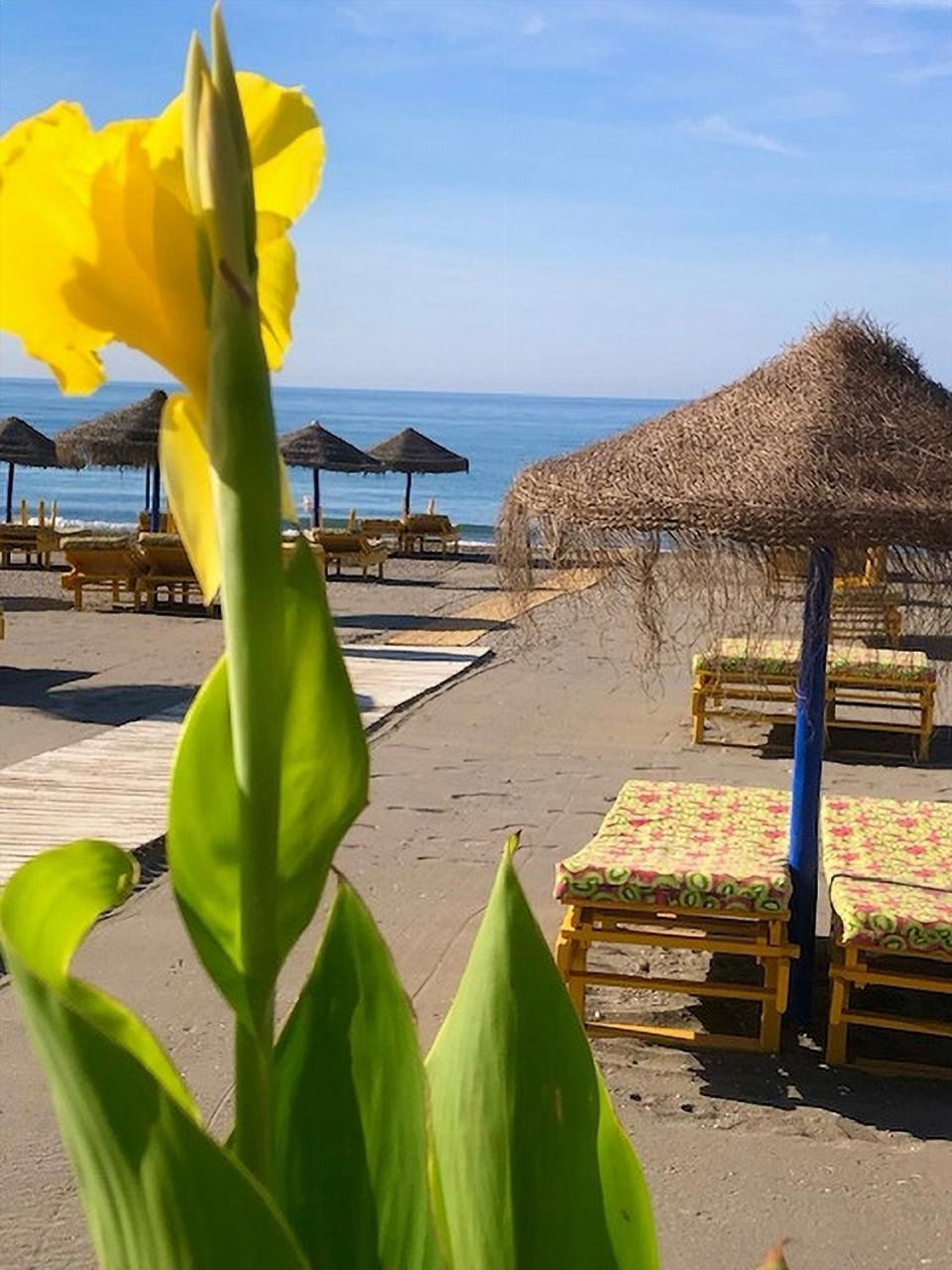 Spacious 1 Bedroom Apartment, Beach Front, Torrox Costa Kültér fotó
